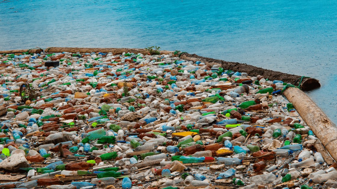 How bad is the pollution from plastic bottles?